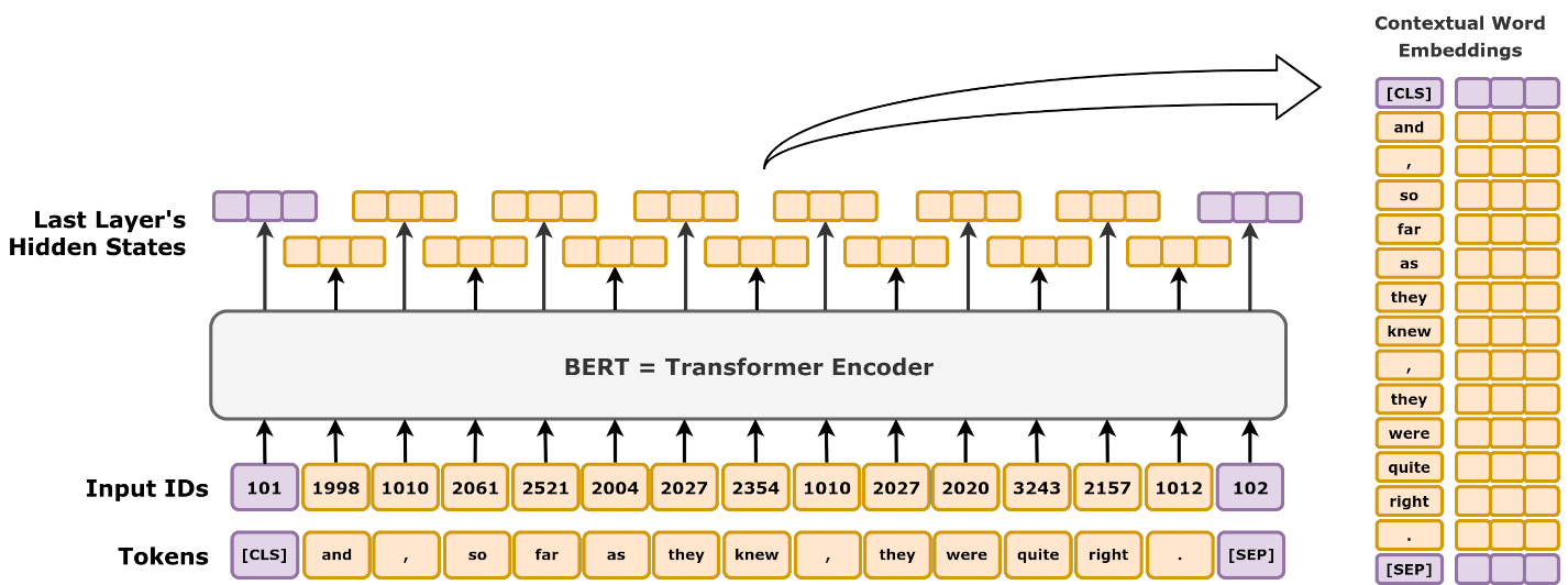 BERT embeddings